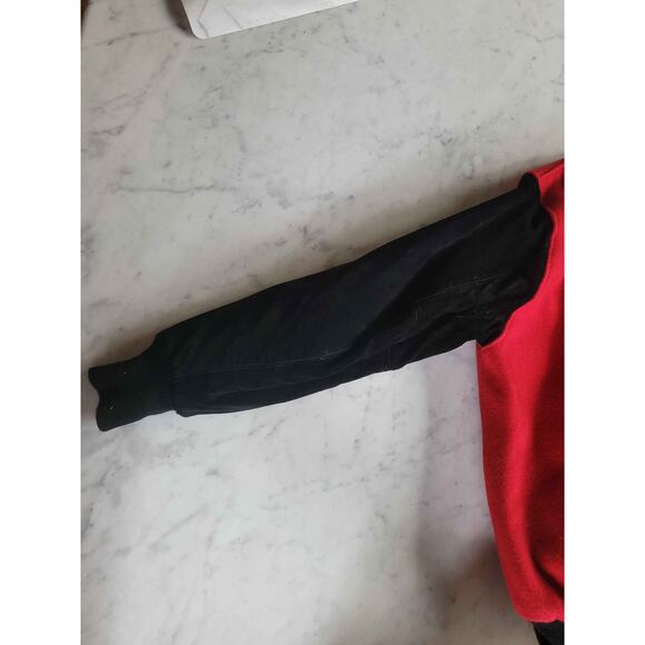 VTG 90s DELONG Detroit Red Wing NHL Quilted Varsity Jacket Wool Suede USA L MINT - Picture 3 of 14